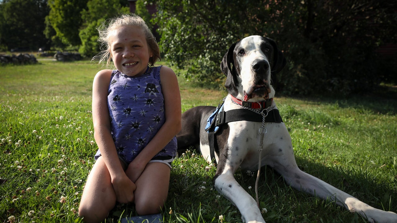 How This Great Dane Has Helped His 13 Year Old Owner Learn To Walk