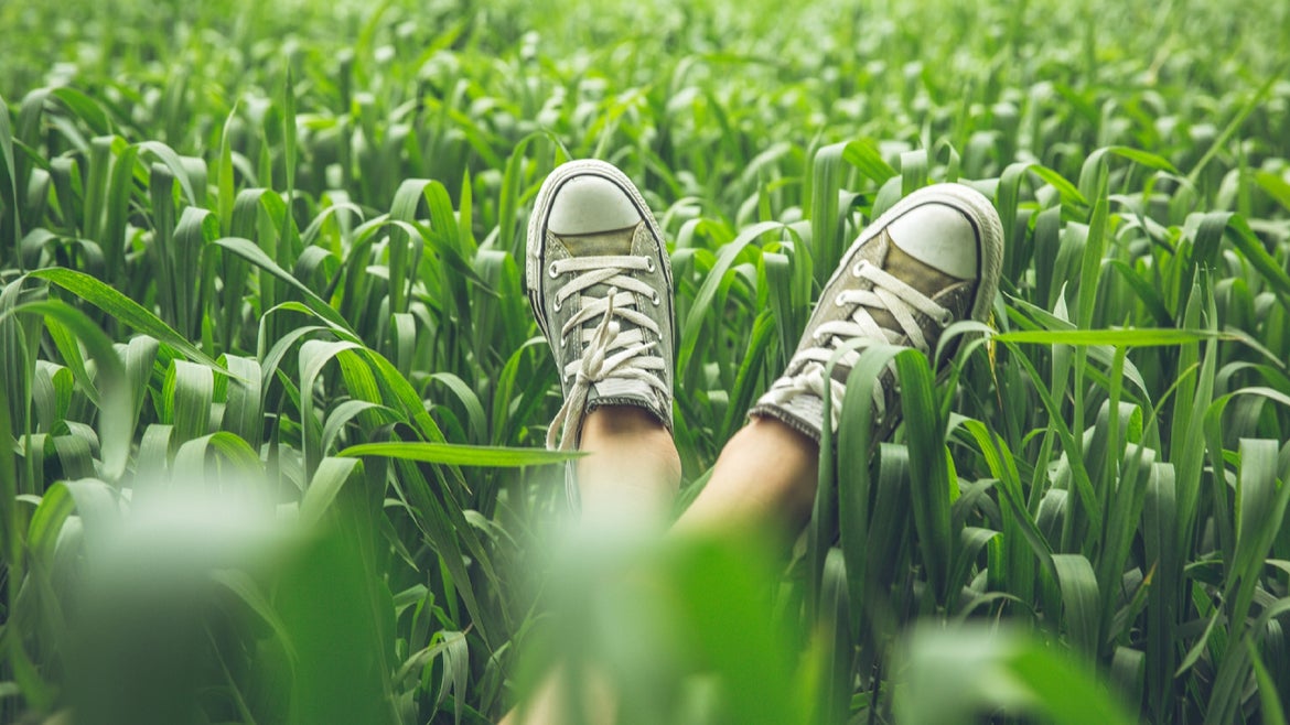 Woman's legs lying in corny field
