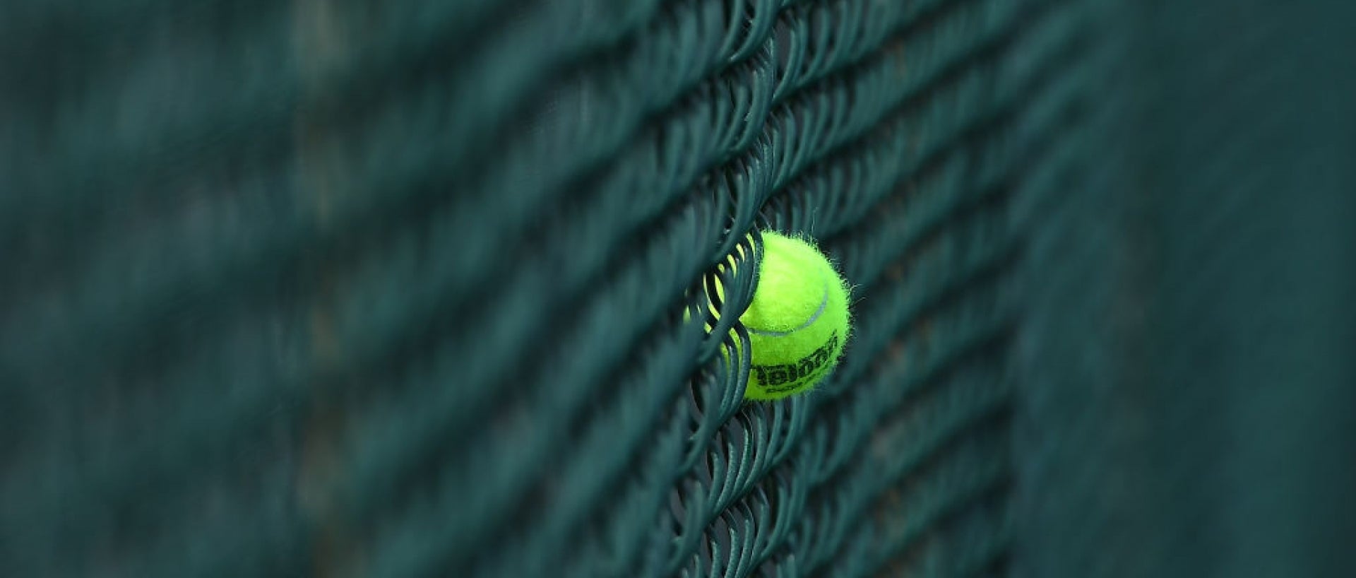 Tennis ball in gate