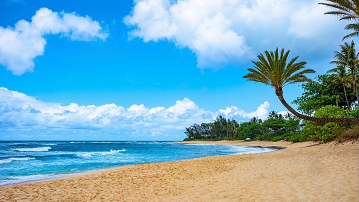 A stock image of Ohahu island. Hawaii.