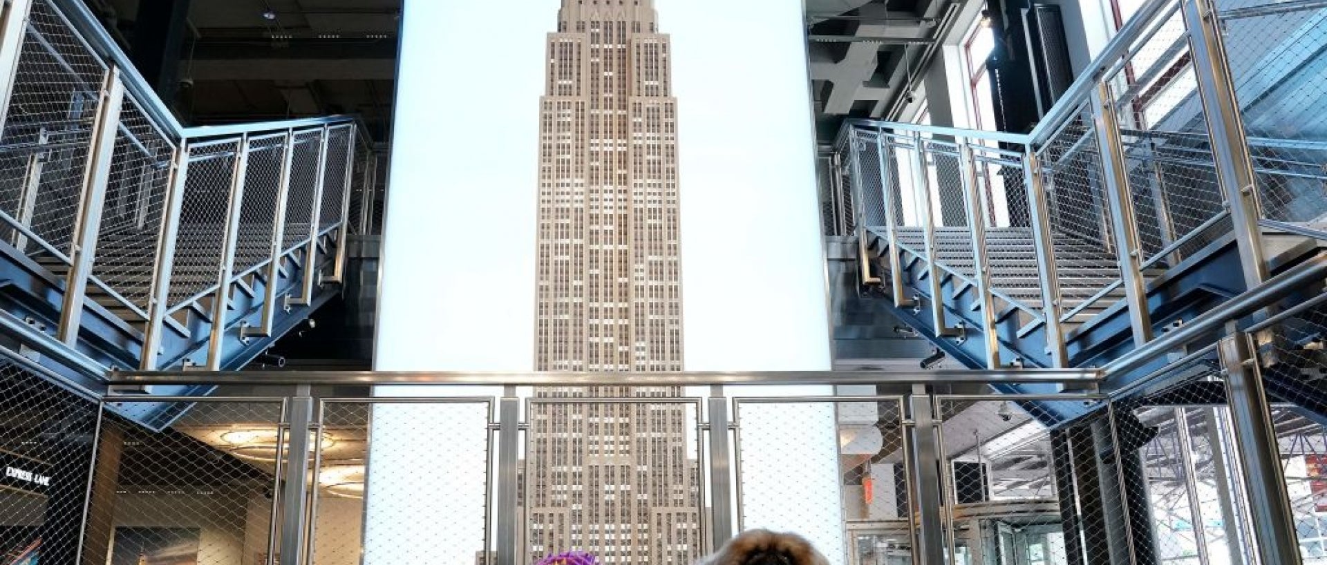 Best in show from 2020 shown in front of NYC building