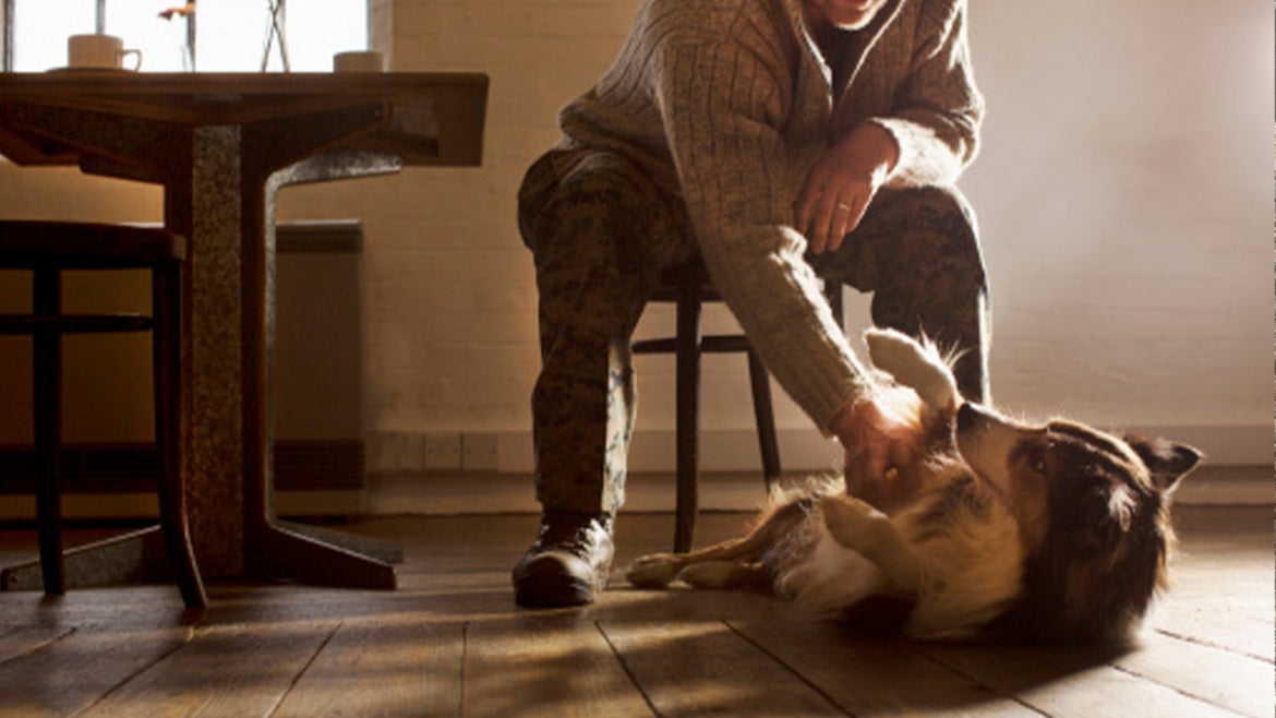 A stock image of owne playing with its dog.