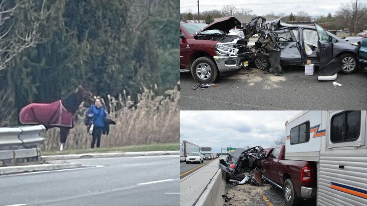 Images of Friday's multi-vehicle crash on New Jersey highway.