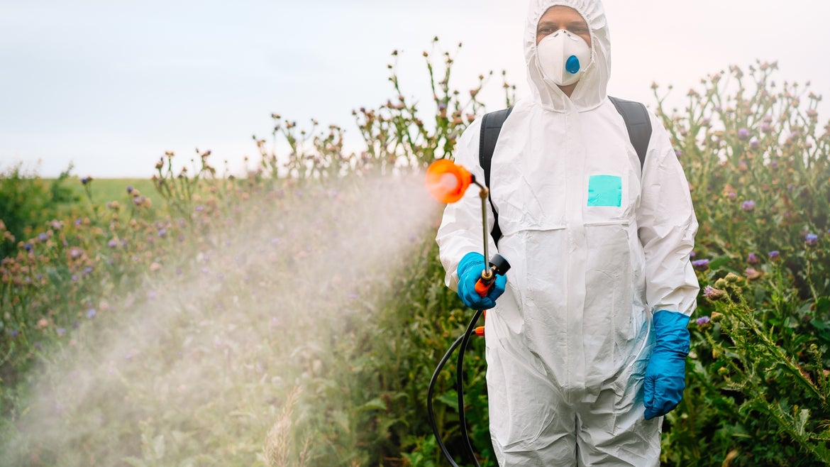 Man in protective gear spraying herbicide onto plants