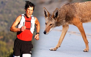 Ultramarathoner Attacked by Coyote While on 150-Mile Run Speaks About Terrifying Ordeal, How He Fought It Off