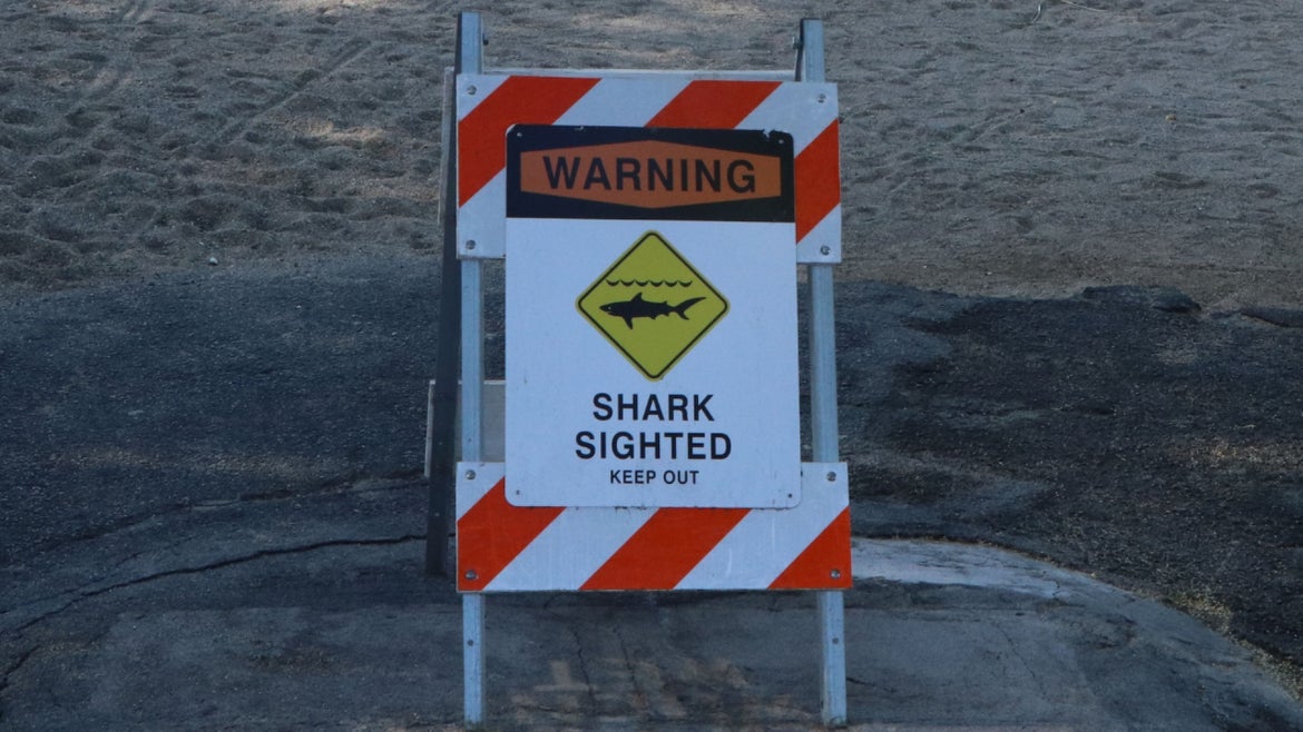 Sign reading "WARNING Shark Spotted"
